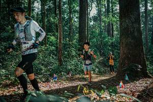 BIB: 
                            <button type="button" onclick="openModal(26080985)" class="btn btn-primary btn-sm float-right btn-popup" data-toggle="modal" data-target=".modal-high-quality">
                        <i class="fas fa-shopping-cart"></i> Add to Cart
                    </button>
                                            <button type="button" onclick="isThisMe(26080985, true)" class="btn btn-success btn-sm float-right btn-popup btn-isme hidden" data-toggle="tooltip" data-placement="bottom" title="นี่คือรูปของคุณใช่ไหม คลิกที่นี่เพื่อเอาเข้าอัลบั้ม">
                        <i class="fas fa-plus"></i> Add to album
                    </button>
                    <button type="button" onclick="isThisMe(26080985, false)" class="btn btn-warning btn-sm float-right btn-popup btn-isnotme hidden">
                        <i class="fas fa-ban"></i> Remove from album
                    </button>